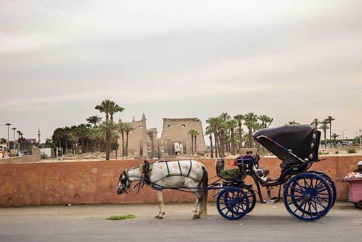 Luxor Horse Carriage Corniche Tour — Private 2‑Hour City Ride photo 2