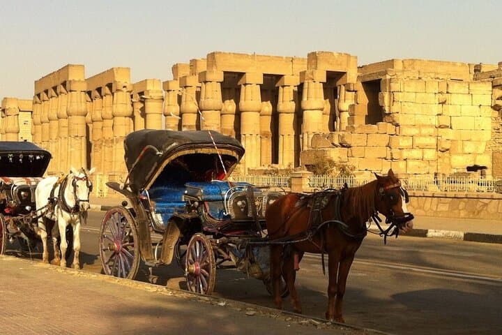 Luxor Horse Carriage Corniche Tour — Private 2‑Hour City Ride photo 3
