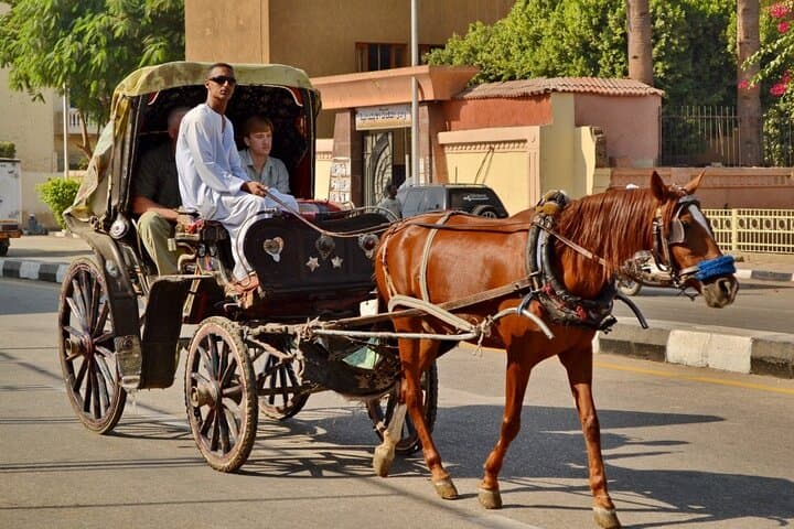 Luxor Horse Carriage Corniche Tour — Private 2‑Hour City Ride photo 4