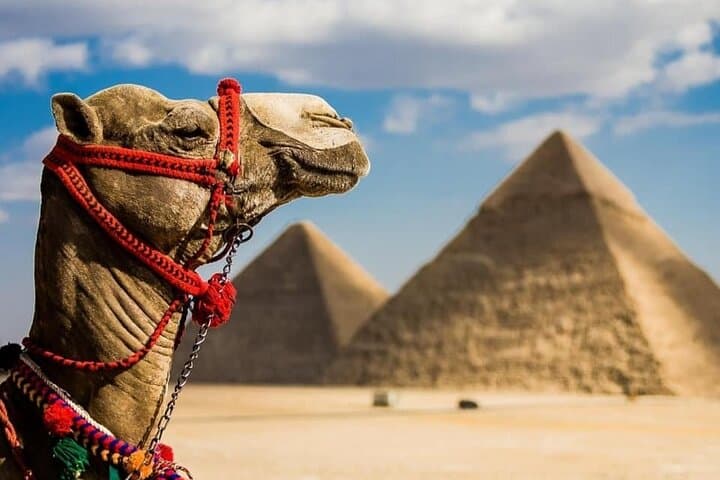 Giza Pyramids by Camel: 4-Hour Camel Ride and Sphinx Visit from Cairo photo 6