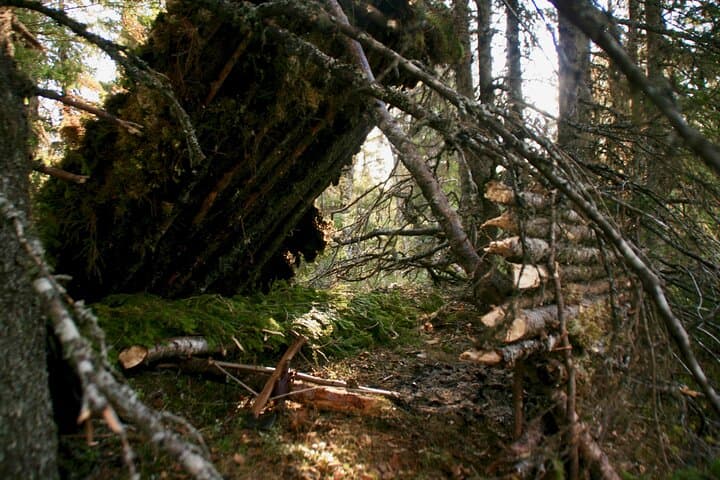6-Day Advanced Survival Course in Södermanland — Wilderness Survival Training Near Stockholm photo 6