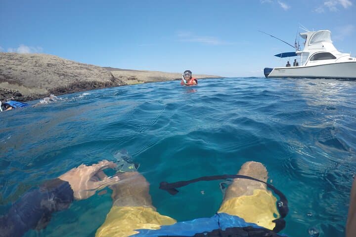 Snorkel Los Tuneles and Cabo Rosa — Isabela Island Marine Safari