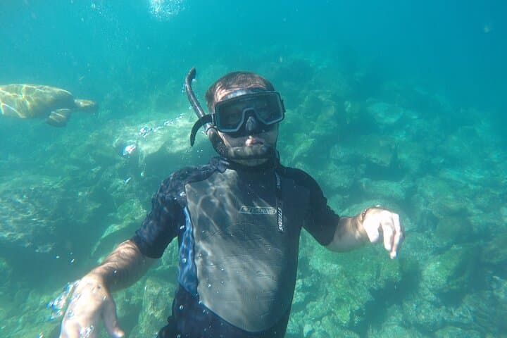 Snorkel Los Tuneles and Cabo Rosa — Isabela Island Marine Safari photo 2