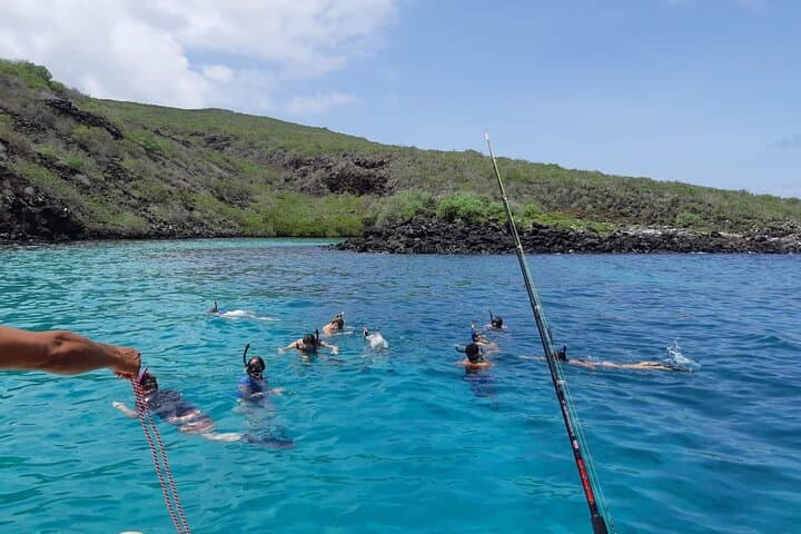 Snorkel Los Tuneles and Cabo Rosa — Isabela Island Marine Safari photo 5