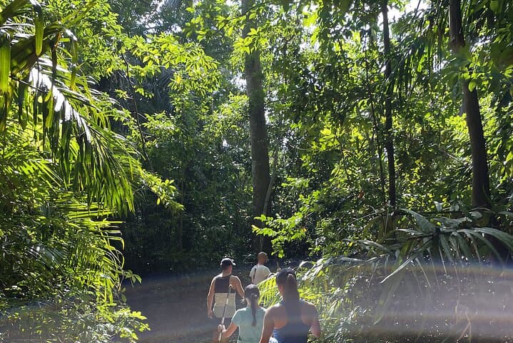 Masingini Forest Day Hike from Stone Town: Red Colobus, Sacred Pools, and Canopy Trails photo 3