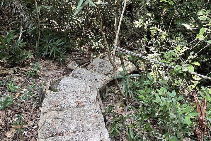 Masingini Forest Day Hike from Stone Town: Red Colobus, Sacred Pools, and Canopy Trails photo 4
