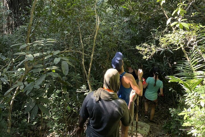 Masingini Forest Day Hike from Stone Town: Red Colobus, Sacred Pools, and Canopy Trails photo 5