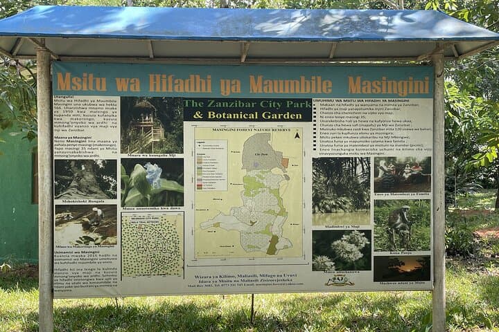 Masingini Forest Day Hike from Stone Town: Red Colobus, Sacred Pools, and Canopy Trails photo 6