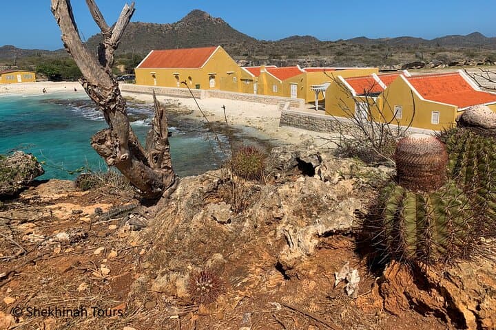 Guided Washington Slagbaai National Park Tour — Bonaire's Wild Northwest