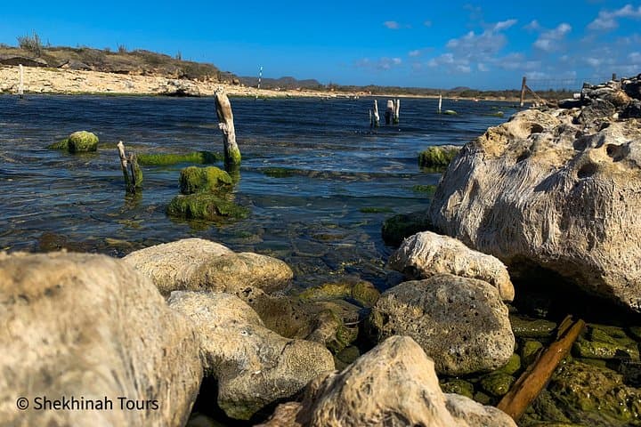 Guided Washington Slagbaai National Park Tour — Bonaire's Wild Northwest photo 4