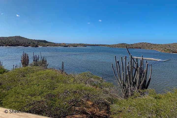 Guided Washington Slagbaai National Park Tour — Bonaire's Wild Northwest photo 6