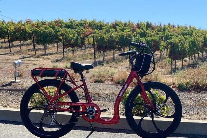 E-Bike Wine Country: Pedego Rentals at Concannon Vineyard, Livermore photo 3