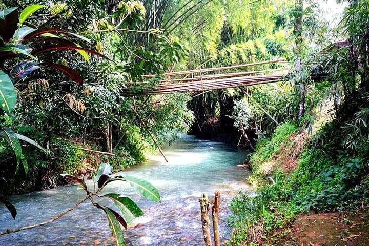 Mayfield Falls, Blue Hole & Rick's Café: Negril Day Tour with Cliff Jumps and Mineral Springs photo 2