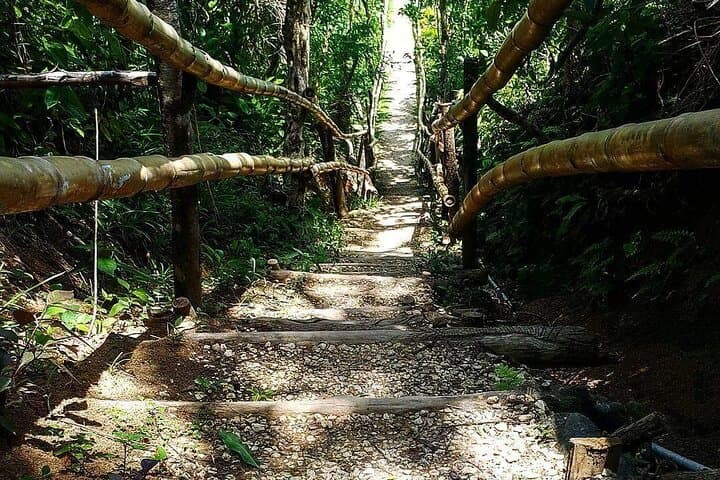 Mayfield Falls, Blue Hole & Rick's Café: Negril Day Tour with Cliff Jumps and Mineral Springs photo 3