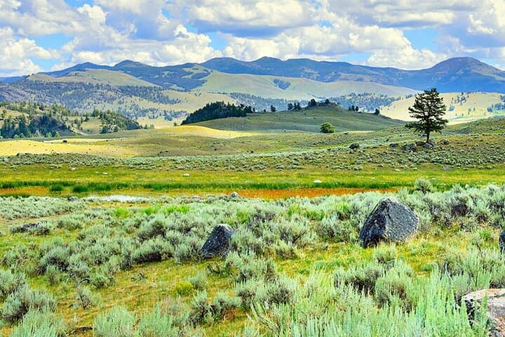 Exploring Yellowstone’s Lamar River Valley: A Day Hike into Untamed Wilderness photo 2