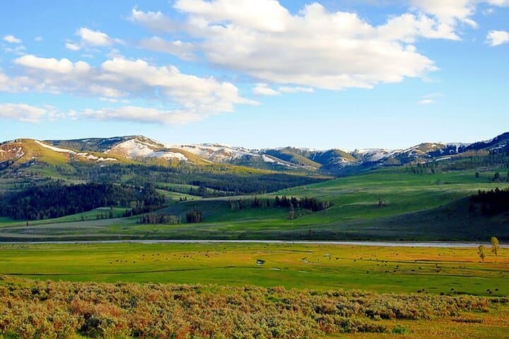 Exploring Yellowstone’s Lamar River Valley: A Day Hike into Untamed Wilderness photo 3