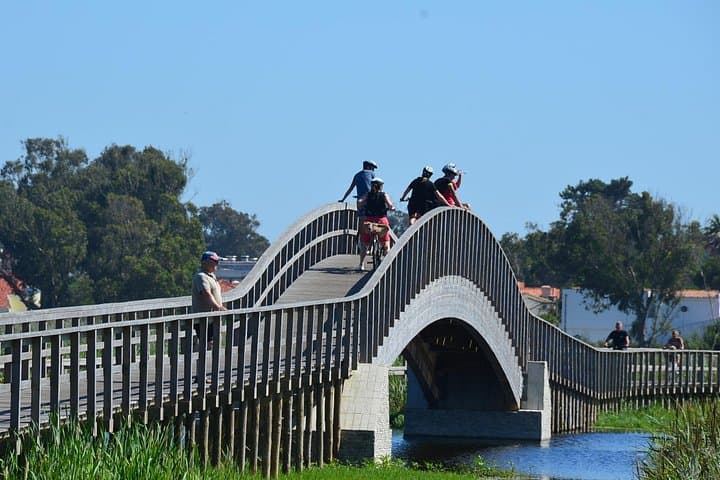 Porto to Atlantic Coast Bike & E‑Bike Tour — Beaches, Pine Forests and Coastal Paths photo 3