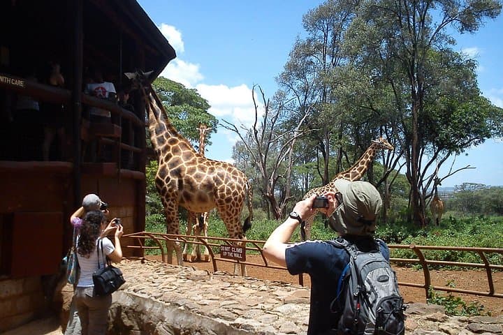 Giraffe Centre Nairobi: Close Encounters with Rothschild Giraffes Near Nairobi photo 1