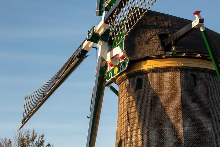 Private Electric Flowerfields Tour from Leiden: Tulips, Polders & Herring Tasting photo 4