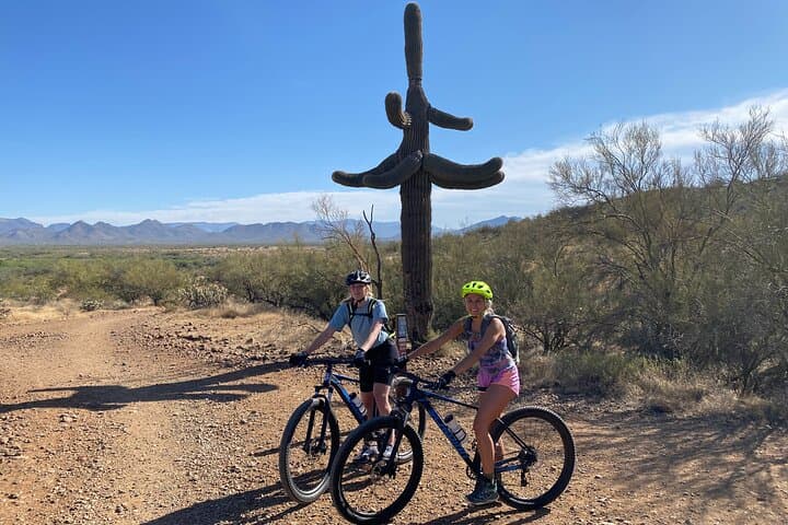 Ride Through the Rugged Beauty of the Sonoran Desert: A Private 3-Hour Guided Mountain Bike Adventure photo 2