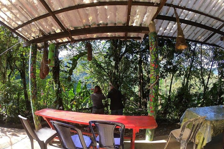 Birdwatching in Los Farallones: Anchicayá Sighting & Sábila Farm Tour photo 2
