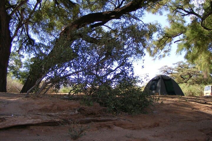 7-Day Private Camping Safari in Kenya — Samburu, Mt. Kenya & Maasai Mara Camping Adventure photo 5