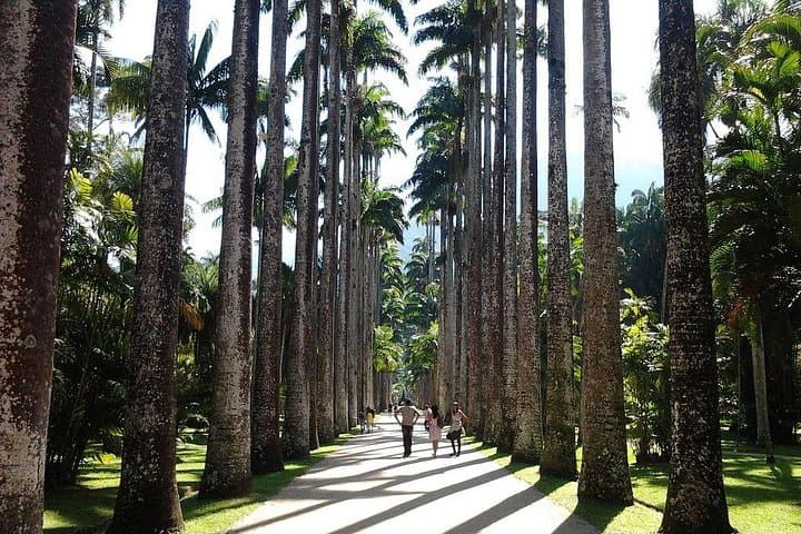 Rio de Janeiro Full-Day City Tour with Lunch: Corcovado, Sugarloaf & Selarón Steps photo 4