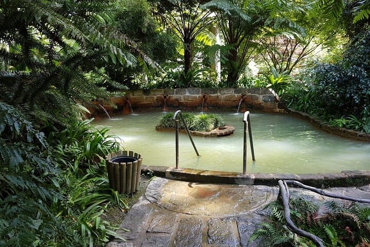 Canoe Furnas Lake & Terra Nostra: Cozido, Fumaroles and Thermal Baths photo 6