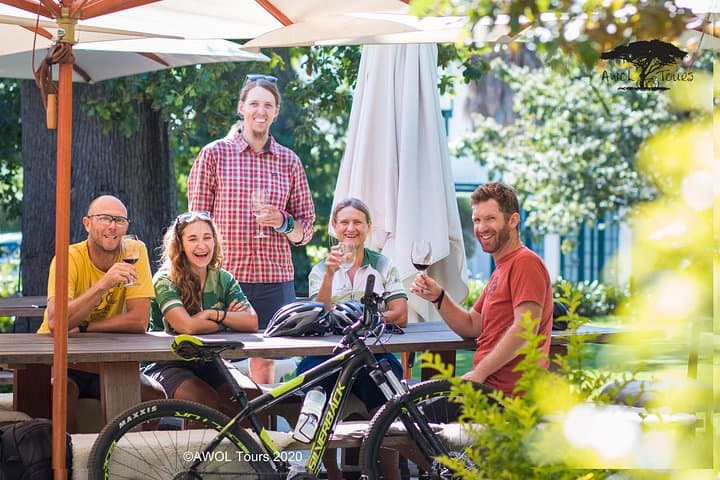 Cycle the Constantia Winelands: Private Half-Day Wine & Bike Tour