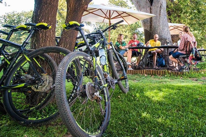 Cycle the Constantia Winelands: Private Half-Day Wine & Bike Tour photo 6