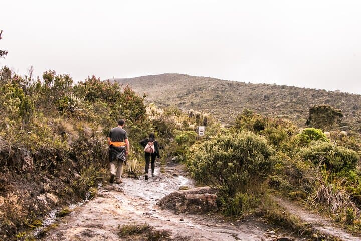 Chingaza National Park Day Hike from Bogotá — Páramo, Bears & Water Sources