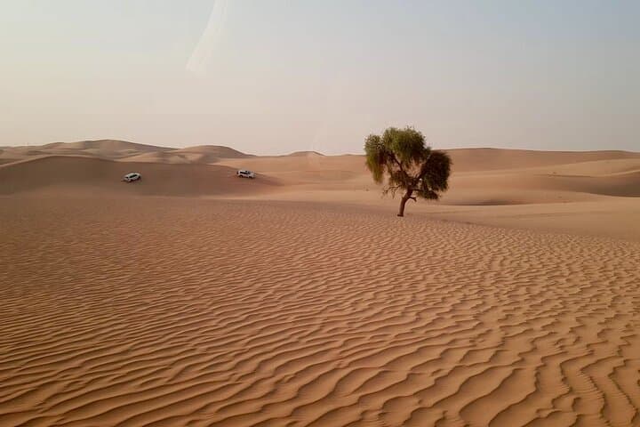 Abu Dhabi Morning Desert Safari and Half-Day City Tour photo 3