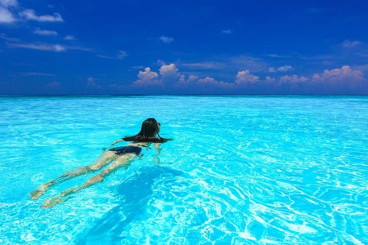 Similan Islands Speedboat Day Trip from Khao Lak — Snorkel Thailand's Clear Reefs photo 5