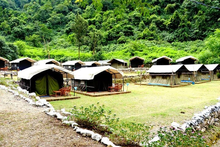 Forest Camping near Rishikesh: 1-Night Himalayan Camp & Waterfall Trek photo 2