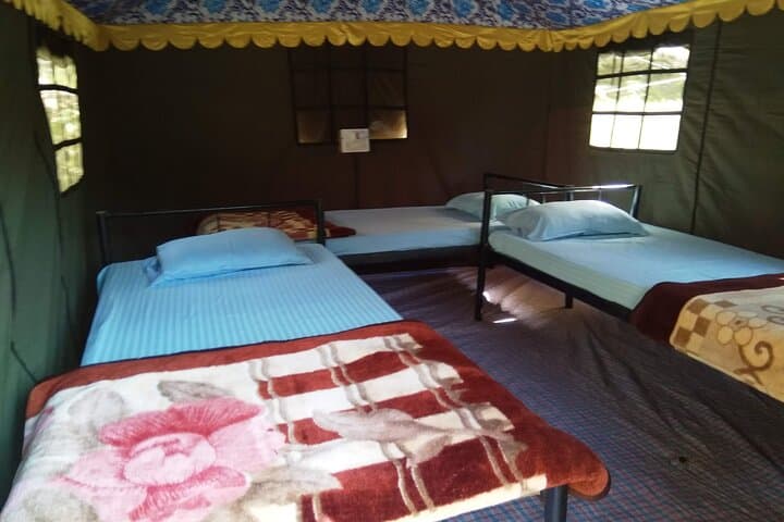 Forest Camping near Rishikesh: 1-Night Himalayan Camp & Waterfall Trek photo 3