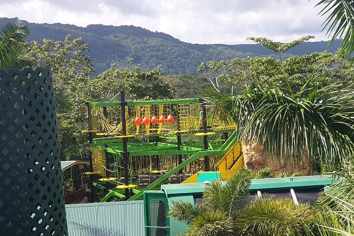 Private Transfer from Montego Bay to Mystic Mountain & Dunn's River Falls — Zipline, Bobsled and Waterfall Climb photo 4