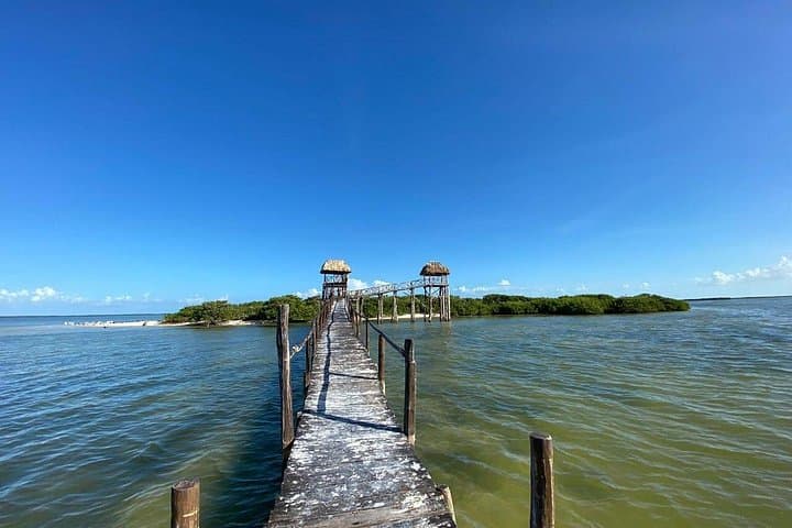 Holbox Three-Island Boat Tour: Isla Pájaros, Isla Pasión & Yalahau Cenote photo 4