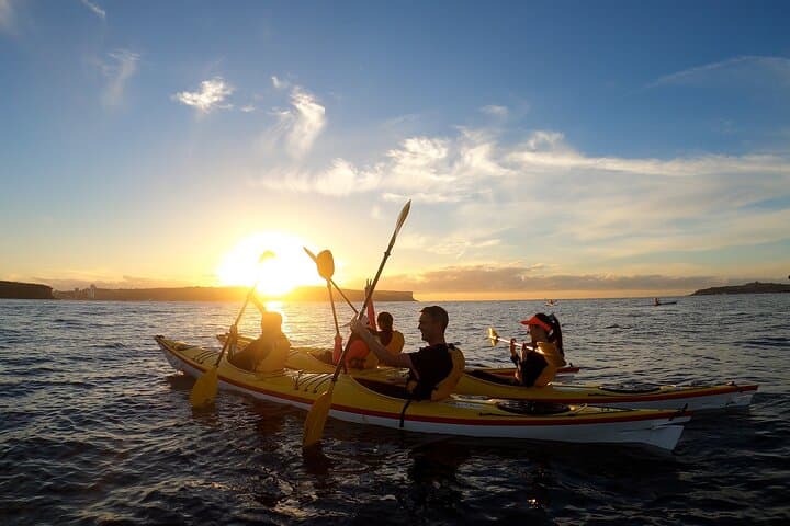 Middle Harbour Sunriser: Guided Sunrise Kayak Tour on Sydney Harbour