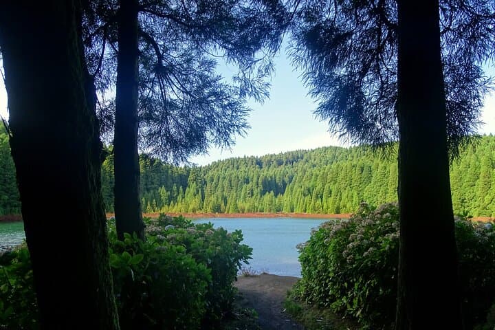 Sete Cidades by Van — Half-Day Tour of São Miguel’s Twin Lakes photo 3