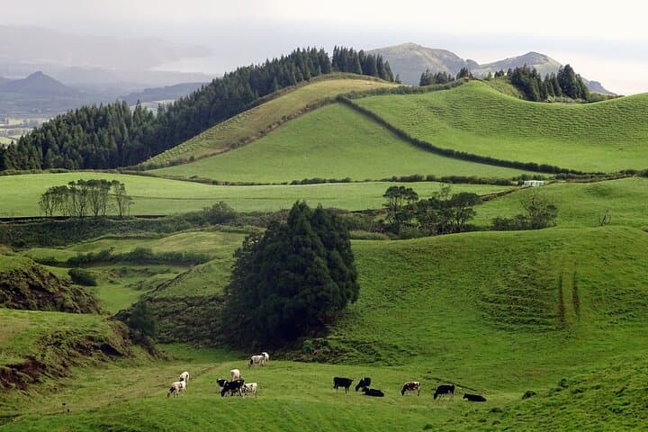 Sete Cidades by Van — Half-Day Tour of São Miguel’s Twin Lakes photo 2