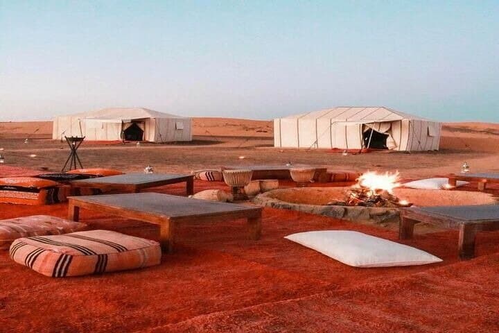 Bedouin Camel Safari and Stargazing from Sharm El Sheikh photo 2