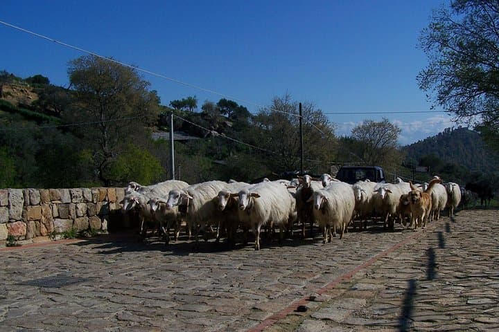 8-Day Bucolic Sicily Tour — UNESCO Temples, Etna Craters & Coastal Reserves photo 2