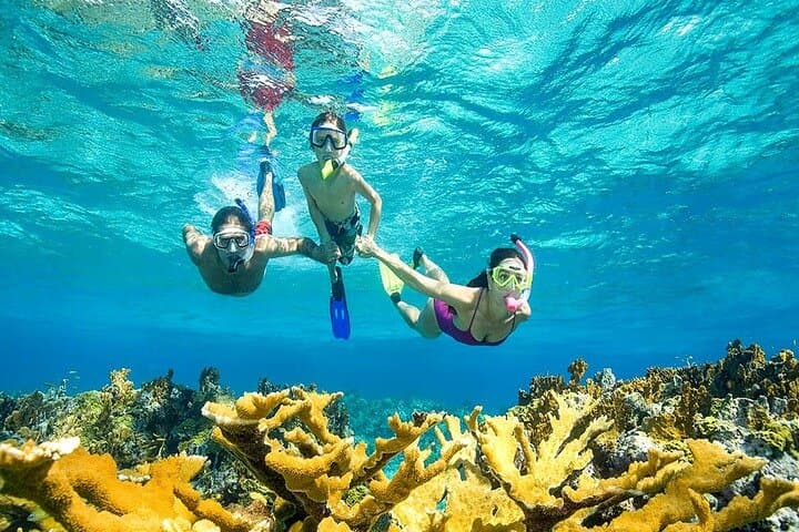Hurghada Dolphin House Full-Day Snorkel Trip with Lunch photo 4