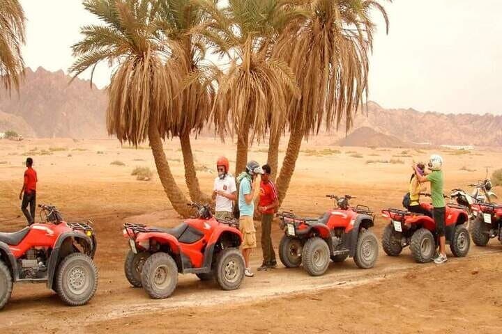 Sinai Desert Quad-Biking, Camel Ride & Bedouin Dinner — Sunset Dune Adventure photo 5