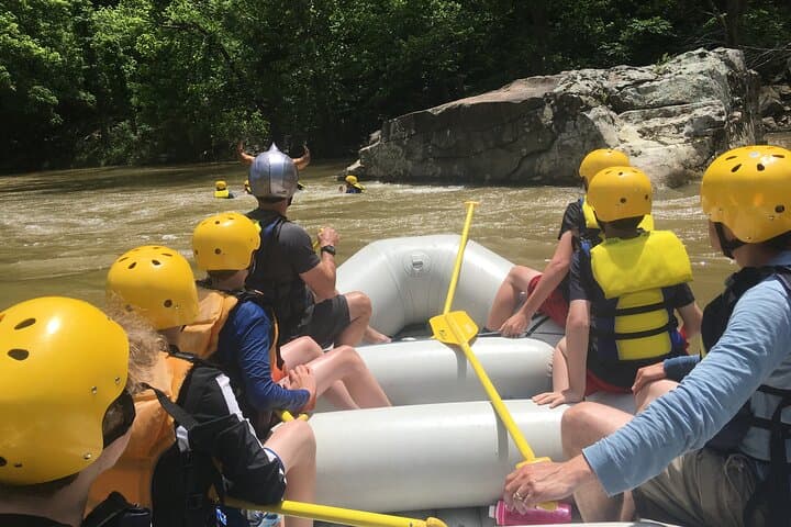 Family Rafting on the Upper New River Gorge: Gentle Class I–II Adventure for Kids and Adults photo 4