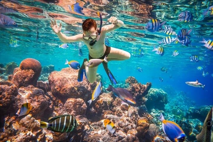 Ras Mohammed and White Island Snorkel: Red Sea Day Trip from Sharm el Sheikh photo 2