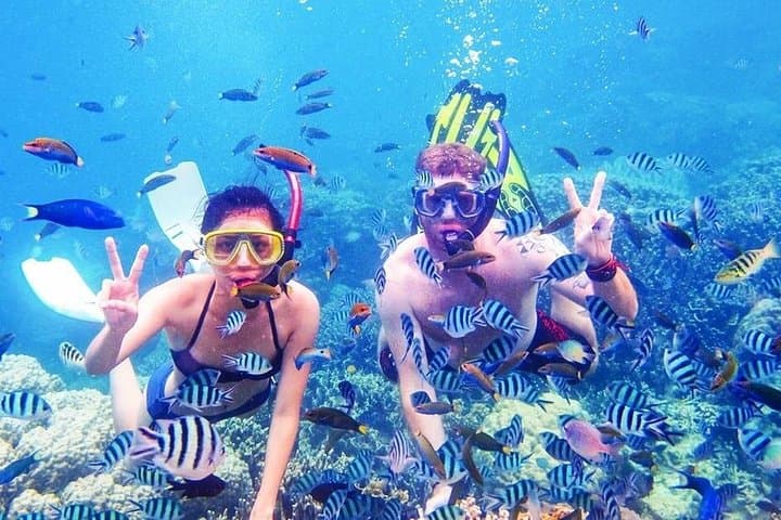 Ras Mohammed and White Island Snorkel: Red Sea Day Trip from Sharm el Sheikh