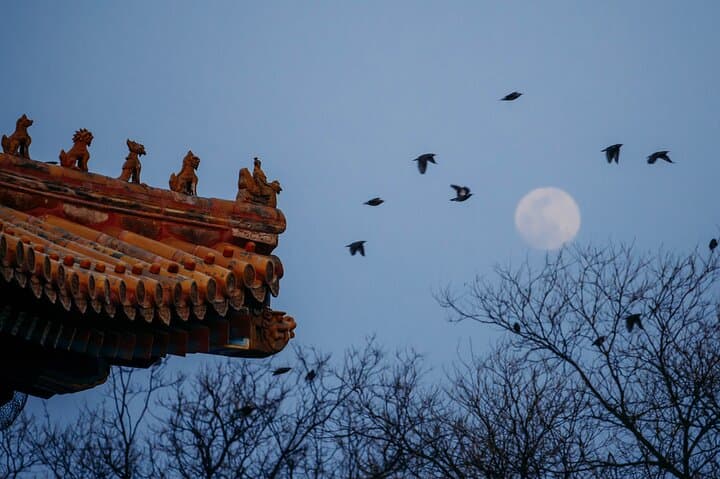 Fast-Track Beijing: Forbidden City and Mutianyu Great Wall Private Day Tour photo 3
