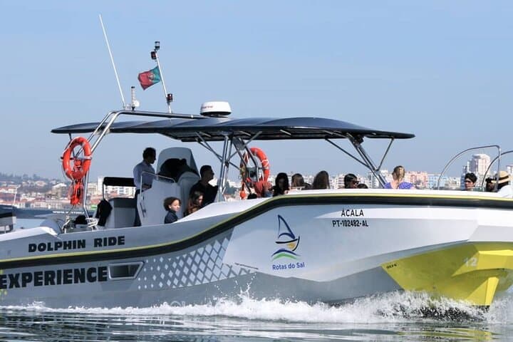 Setúbal Dolphin Watching: Sado Estuary Boat Tour & Wildlife Cruise photo 1
