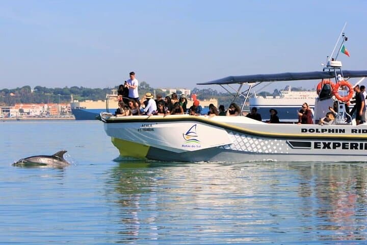 Setúbal Dolphin Watching: Sado Estuary Boat Tour & Wildlife Cruise photo 2